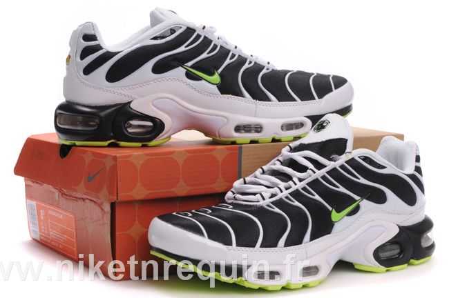 nike tn 2010 meilleurs populaires (1).JPG